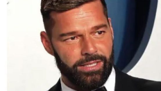 Quién fue la joven fanática que pudo abrazar a Ricky Martin en Buenos Aires