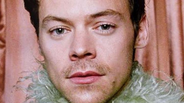 Coachella 2022: cuánto cuesta vestirse como Harry Styles