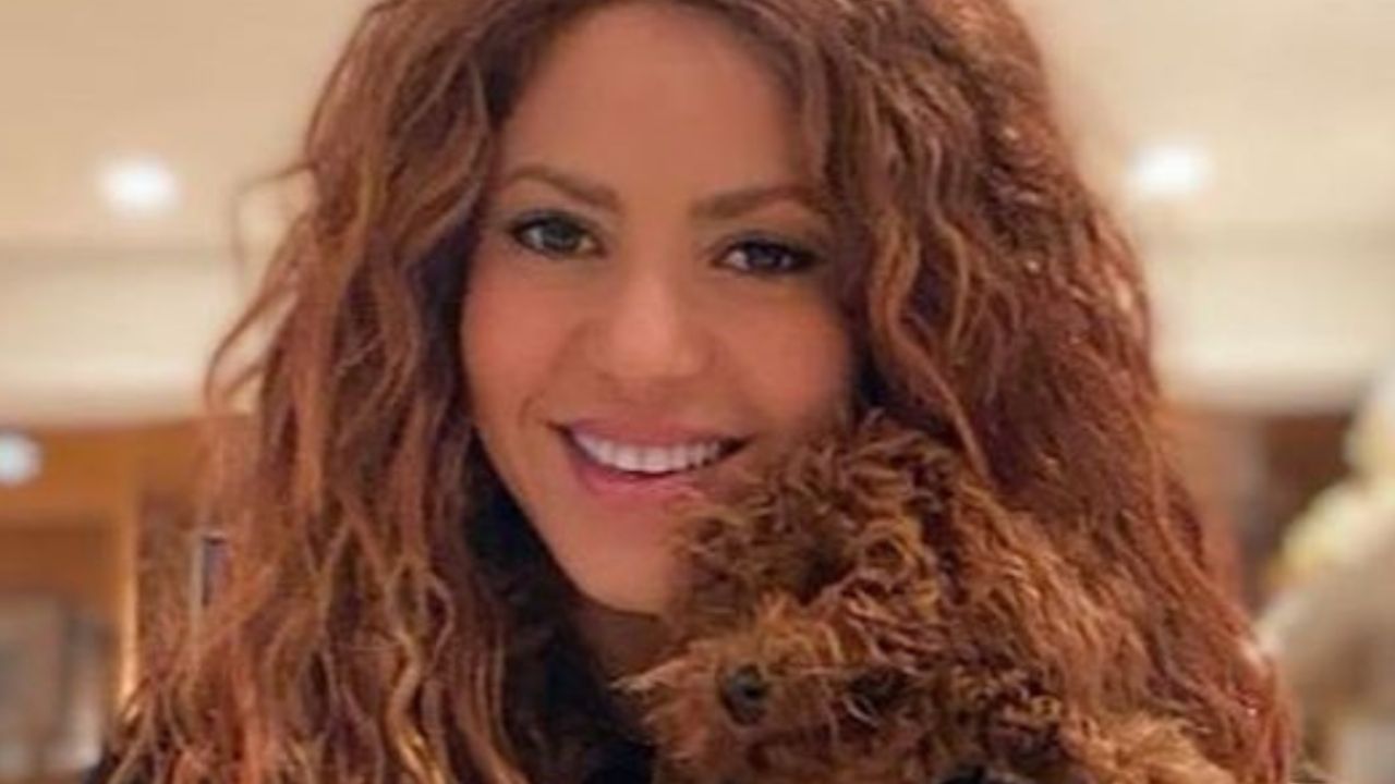 Así es la nueva vida de Antonio de la Rúa, el ex novio de Shakira | La