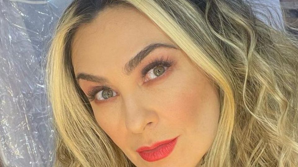 Fuente Instagram @aracelyarambula