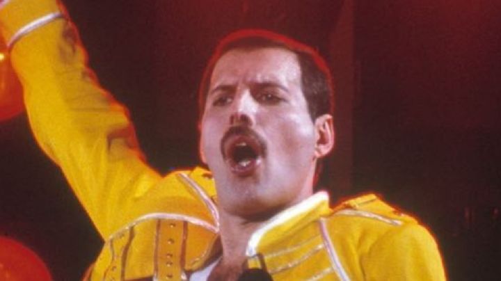 Freddie Mercury y su amor por los gatos: estas son las canciones que compuso para sus mascotas